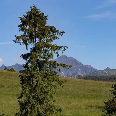 Mc82 - Anna Lukaszczyk