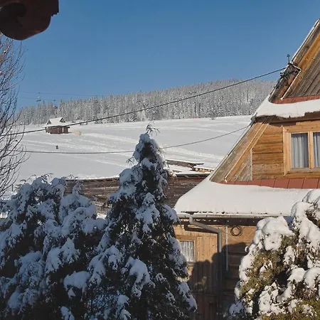 Mc82 - Anna Lukaszczyk