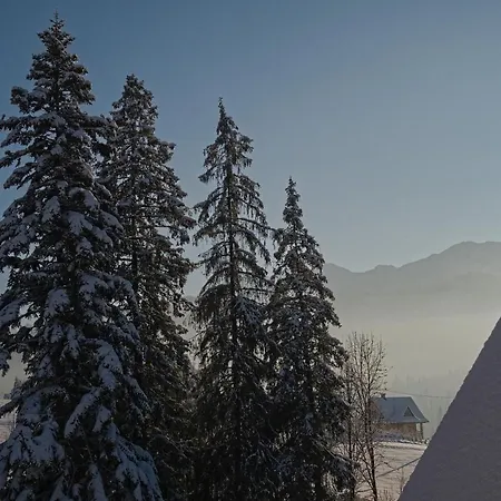 Mc82 - Anna Lukaszczyk *