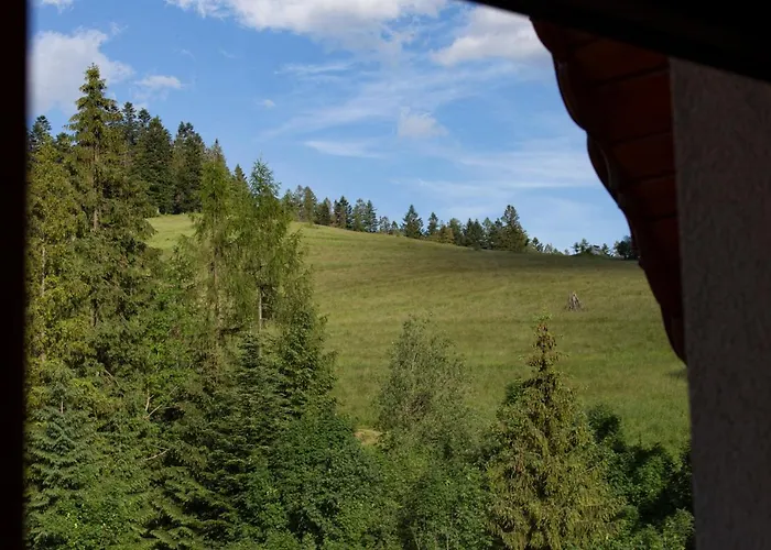 Mc82 - Anna Lukaszczyk Rum i privatbostad Ciche Małe