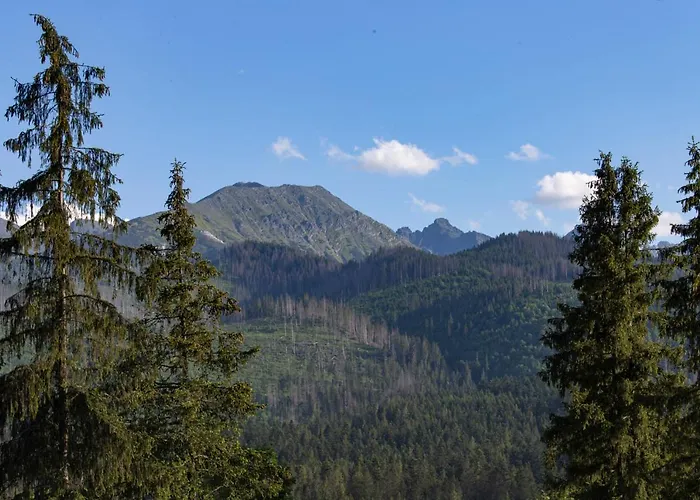 Mc82 - Anna Lukaszczyk *