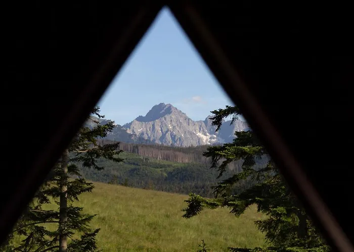 Mc82 - Anna Lukaszczyk