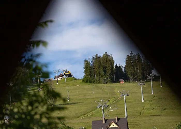 Mc82 - Anna Lukaszczyk *