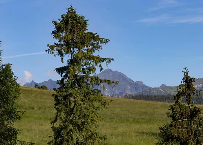 Mc82 - Anna Lukaszczyk