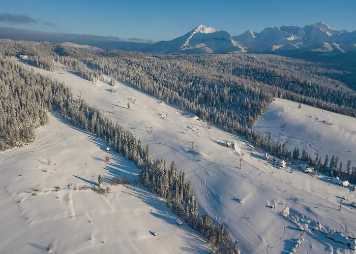 Mc82 - Anna Lukaszczyk