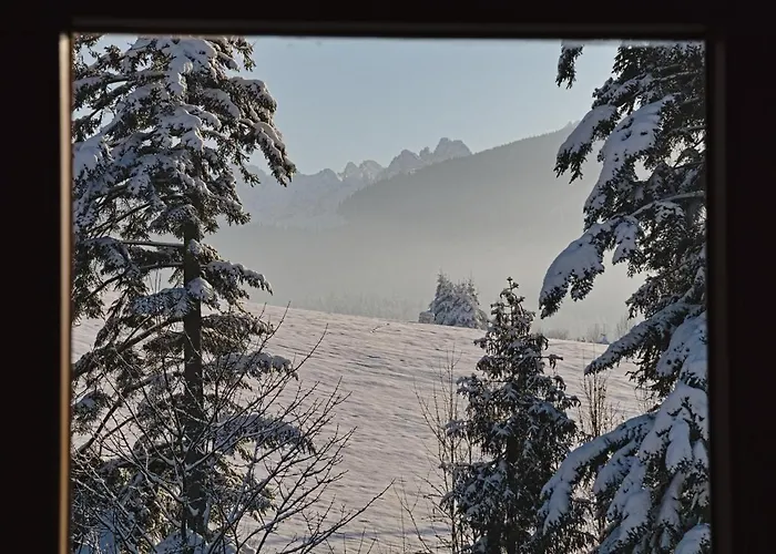 Mc82 - Anna Lukaszczyk