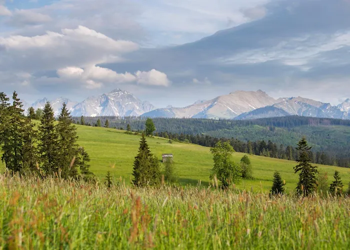 Rum i privatbostad Mc82 - Anna Lukaszczyk Ciche Małe